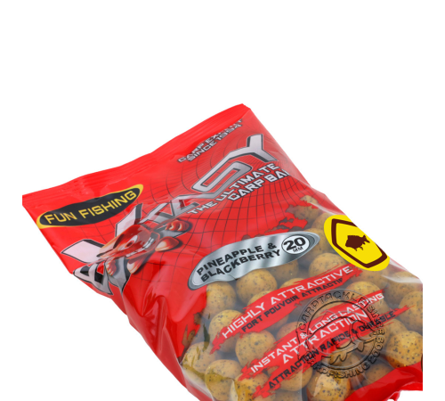 Тонущие бойлы Fun Fishing Extasy Bouillettes Pineapple & Blackberry