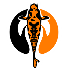 Наклейка Black Orange Carp