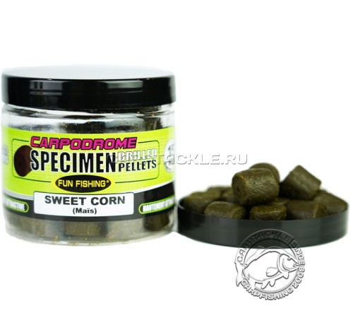 Насадочный пеллетс Fun Fishing Specimen Drilled Pellets 80g